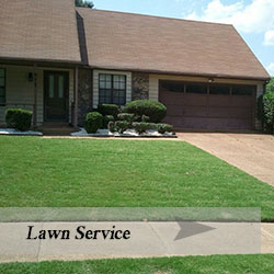 Lawn Service 250